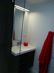 ein Bad mit einem Waschbecken und einem Spiegel in der Unterkunft Rouen centre avec Sauna - Jacuzzi - Parking - 5 étoiles in Rouen