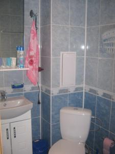 マリウポリにあるКвартира возле моряのバスルーム(トイレ、洗面台付)