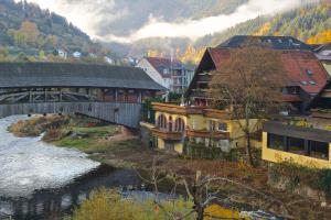 a town with a bridge and a river and buildings at Das Waldhaus in Forbach