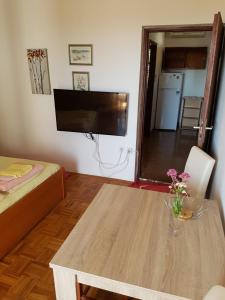 Televízia a/alebo spoločenská miestnosť v ubytovaní Apartmani Rosanda
