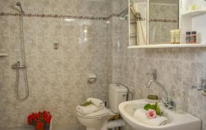 a bathroom with a toilet and a sink and a shower at Mayra Apartment in Lithakia