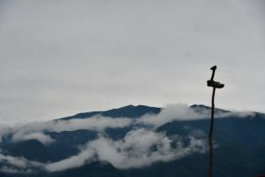 山景或在旅舍看到的山景