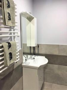 a bathroom with a white sink and a mirror at Apartamenty u Bodzia in Stronie Śląskie