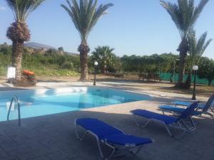 a swimming pool with two blue chairs and palm trees at Argaka Palm Tree Apts in Argaka
