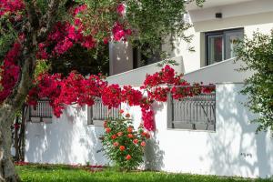 a white building with pink flowers on it at Dannas Boutique Apartments in Tsilivi