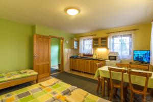 a kitchen with green walls and a table and chairs at Ada Apartments in Liptovský Trnovec