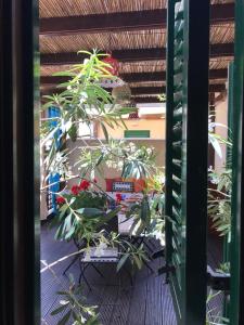 Imagen de la galería de Casa La Veranda di Ligny, en Favignana