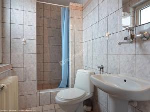 a bathroom with a toilet and a sink and a shower at Domlesny in Kiczora +22 photos