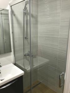 オミシュにあるApartman studio Gangaのシャワー(洗面台の隣にガラスドア付)