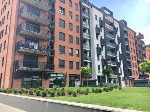 ベオグラードにあるApartman Tirenaの芝生の高層ビル