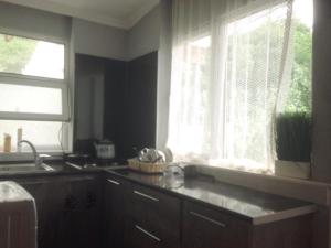 eine Küche mit einem Waschbecken und einem Fenster in der Unterkunft Gorgadze Apartment in Bordschomi