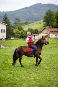 Jazda na koni pri farme alebo okolí