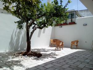 a tree in the middle of a courtyard with chairs at Cortile Calinea in Castrignano del Capo