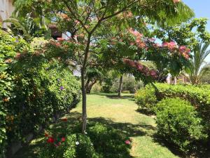 Ogród w obiekcie Apartamento Las Brisas