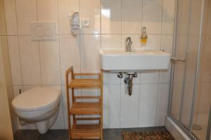 a bathroom with a sink and a toilet and a shower at Hotel Ratskeller in Neustadt