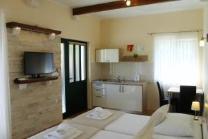 Kuchyň nebo kuchyňský kout v ubytování Guest House Ankora