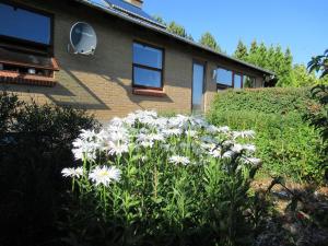 Zahrada ubytování Æbelø-guidens B&B