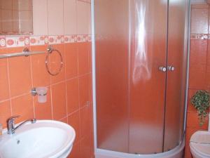 a bathroom with a shower and a sink and a toilet at Pensiunea Sydney in Timişoara