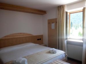Hotel Stella Alpina في فالكادي: غرفة نوم بسرير ونافذة كبيرة