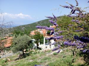 a house on top of a hill with purple flowers at Dimitra's Garden Villa in Kallirákhi +22 photos
