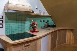 a kitchen with green tile on the wall at Apartma Zemljanka in Ljutomer
