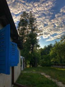 una casa con persianas azules y un árbol en un campo en Tleniowo en Tleń