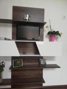 Una televisión o centro de entretenimiento en Apartments Jurašić