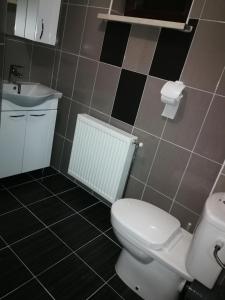 uma casa de banho com um WC e um lavatório em Guesthouse Vila Puzic em Banja Luka