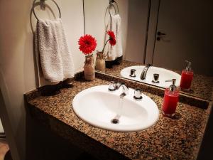 un bancone del bagno con lavandino e specchio di Modern Apartment Rivas - Swimming Pool a Buenos Aires