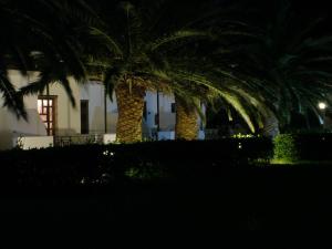 A garden outside Meroi Studios Molos