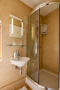 La salle de bains est pourvue d'un lavabo et d'une douche. dans l'établissement Langdon Farm Guest House, à Saundersfoot