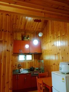 Kuchyň nebo kuchyňský kout v ubytování Nadeuri Pension