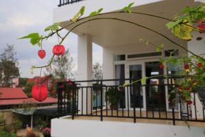 a house with a balcony with red fruits on it at Lavini Đà Lạt House and Apartment in Da Lat +37 photos