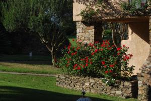 a bush of red flowers next to a stone wall at UNAHOTELS Club Hotel Ancora in Stintino