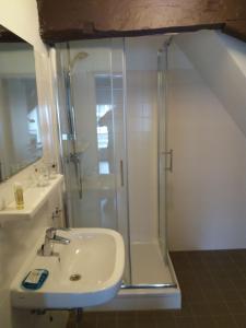 a bathroom with a shower and a sink at B&B Museumkwartier Schiedam in Schiedam