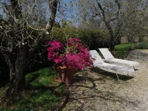 Zahrada ubytování B&B La Casetta di Ben