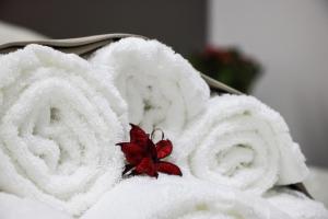 Φωτογραφία από το άλμπουμ του Le colombe di Venere σε Τραπάνι +27 φωτογραφίες