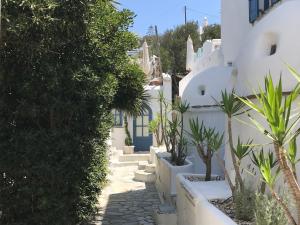 a path through a village with white buildings and plants at Studios & Suites Rania in Mikonos