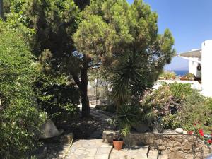 a garden with trees and a stone path at Studios & Suites Rania in Mikonos