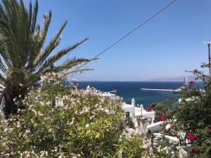 Фотография из галереи Studios & Suites Rania в Миконосе