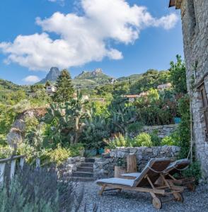 einen Garten mit einem Stuhl und einer Kaktee in der Unterkunft Old Noar Private Villa in Novara Sicilia