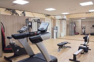Fitness centrum a/nebo fitness zařízení v ubytování Luxury Spa Hotel Olympic Palace