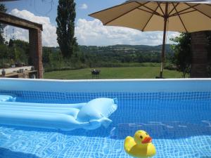 eine Gummiducke in einem Pool mit Regenschirm in der Unterkunft Quatre Saisons in Pionsat