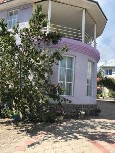 a pink house with a tree in front of it at Prestige Guest house in Cholpon-Ata
