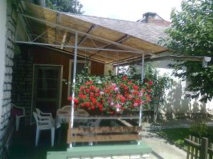 a pergola with a bunch of flowers on a patio at Berci Villa in Balatonboglár