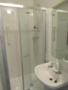 a bathroom with a shower, sink, and mirror at Valley Lodge Farm Hostel in Claremorris