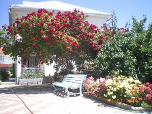 un banco sentado frente a un ramo de flores en Prestige Guest house, en Cholpon-Ata