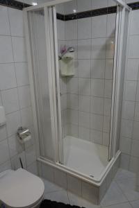 a bathroom with a shower with a toilet at Fewo Oechler in Seelbach