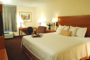 a hotel room with a bed and a laptop on it at Hampton Inn Tampa International Airport/Westshore in Tampa