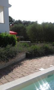 Bazén v ubytování Jurman Apartment nebo v jeho okolí